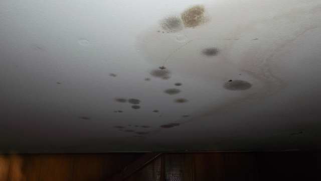 Water Line & Mold Problems Be Gone, Two Customer’s Experiences with Us